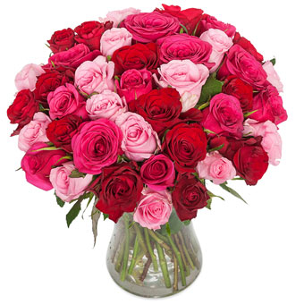 complexiteit strip Wereldrecord Guinness Book Valentijn rozen bestellen | Euroflorist - Bloemen laten bezorgen