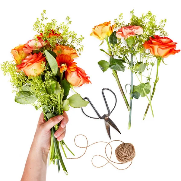 Livraison fleurs aujourd'hui | Bouquets & plantes | Euroflorist
