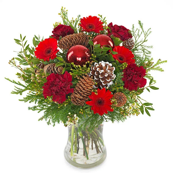 Christmas flower on sale delivery usa