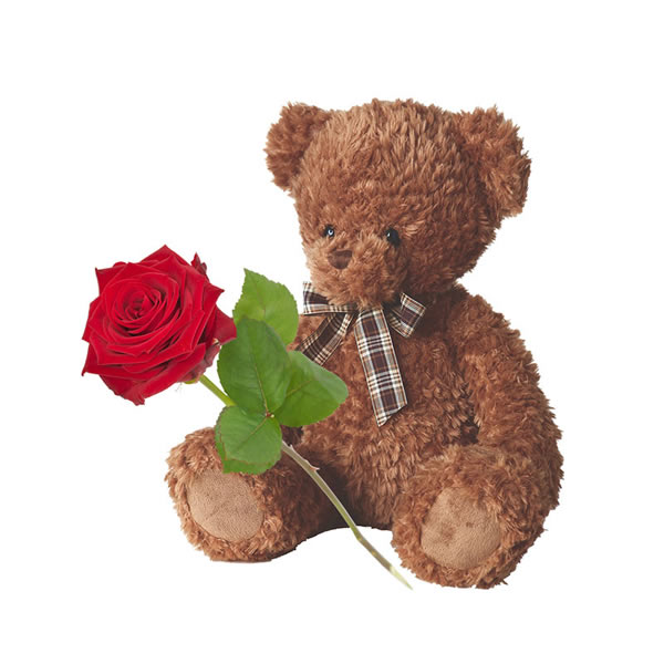 true love rose bear