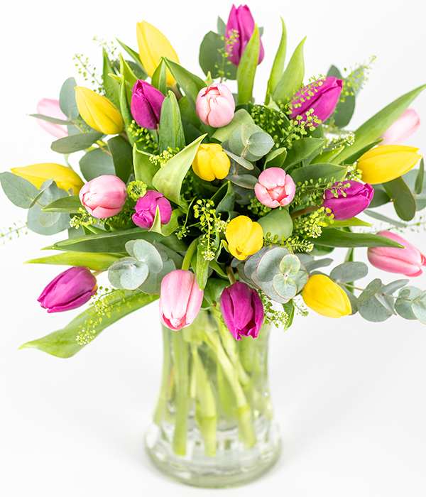 Springtime Spring Flowers