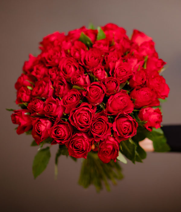 Mixed Red and White Roses - 50 stems