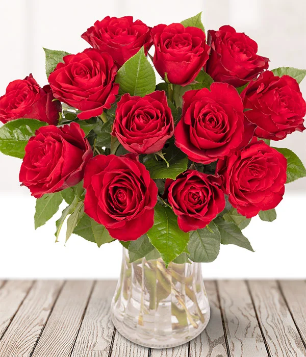  Write a Rose Beautiful Red Rose with Happy Birthday Message, Fresh Cut Flower, Single Rose