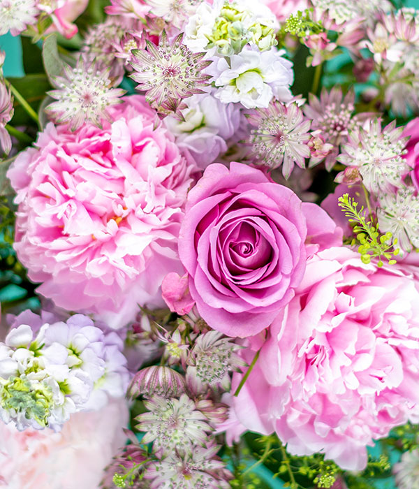 Peonies & Roses Fresh Summer Flower Delivery from eflorist