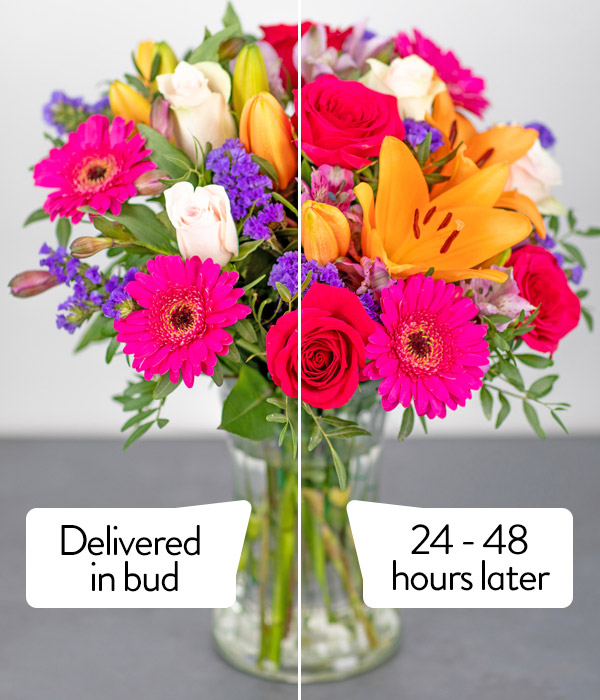 Summer Solstice Summer Flowers Delivered by eflorist.co.uk