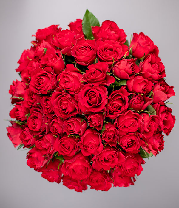 50 Red Roses - Valentine's Day Flowers delivered by eflorist.co.uk