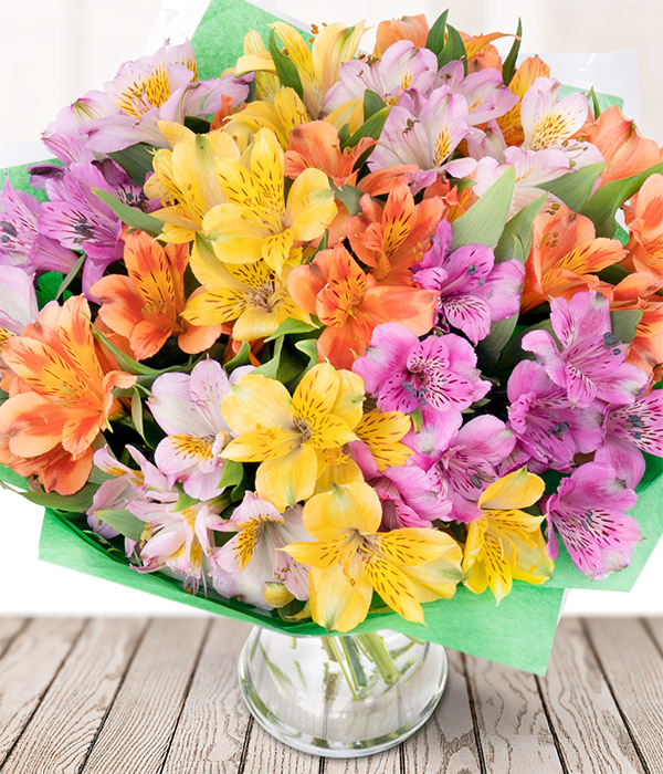 Rainbow Alstroemeria Next Day Flower Delivery Eflorist.co.uk