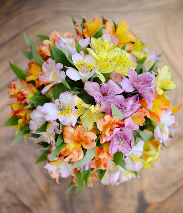 Rainbow Alstroemeria Next Day Flower Delivery Eflorist.co.uk
