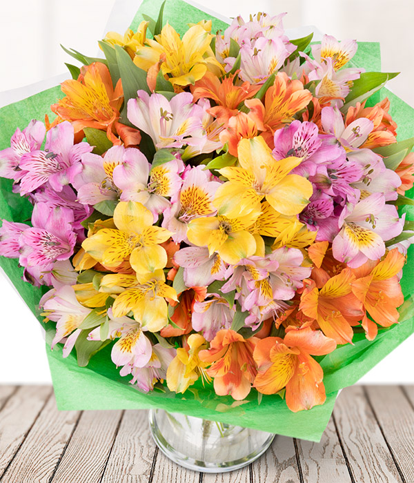 Rainbow Alstroemeria Next Day Flower Delivery Eflorist.co.uk