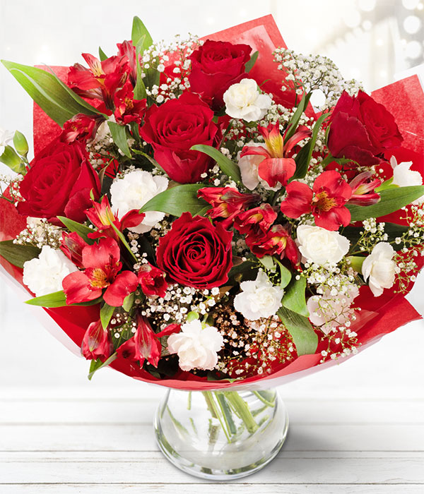 Christmas Radiance Christmas Flowers at Teleflorist.ie