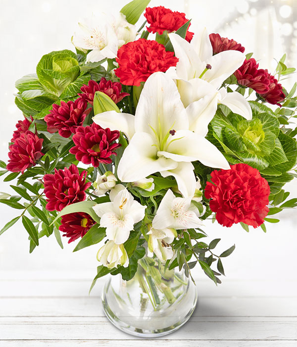 winter-garden-christmas-flowers-from-eflorist