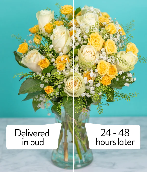 sympathy and funeral flower delivery - Sympathy Flowers 24
