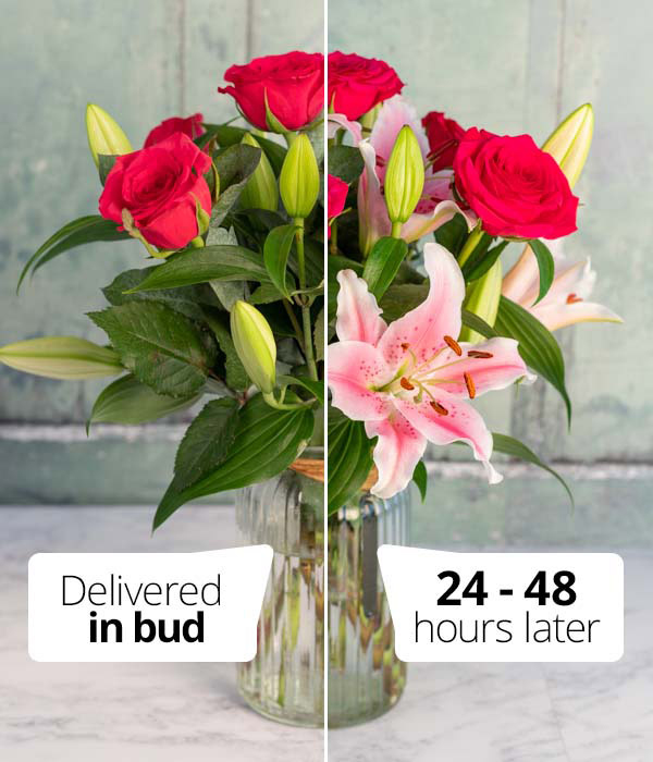 Romantic Flowers | Order By 3pm for Same Day | Interflora