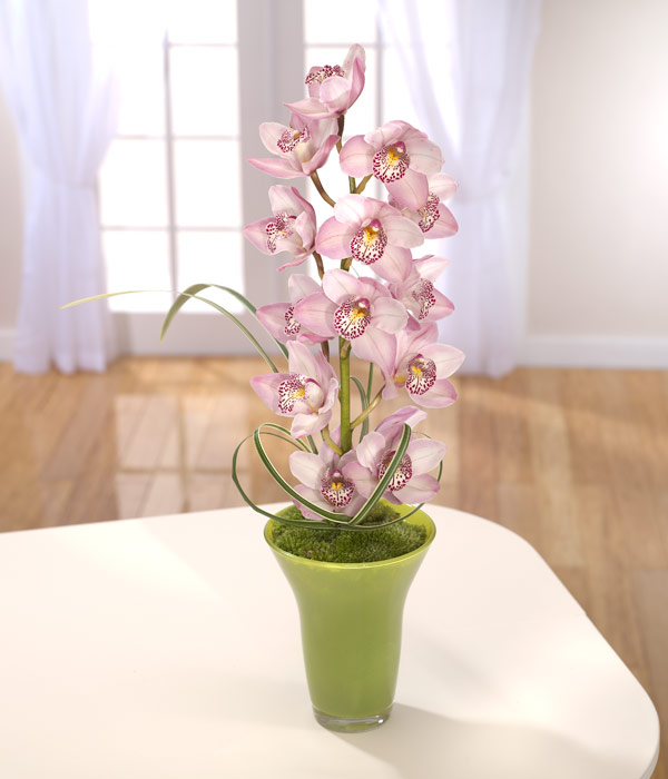 Striking Cymbidium Orchid Arrangement Flowers Felivered By Florist