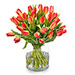Romantische Tulpen