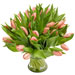 tulipes pastel livraison à domicile fleuriste