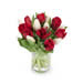 Rode en witte tulpen