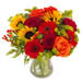 Bouquet Allégria avec tournesols, roses rouges et germinis | Livraison bouquet été à domicile 7j7 par un fleuriste Téléfleurs