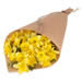 Groovy Daffodils 