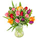 Colourful tulip bouquet