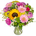 Bouquet de fleurs Esquisse d'été avec des tournesols, germinis et dahlias. Bouquet d'été livré à domicile par un artisan fleuriste Téléfleurs.