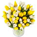 tulipes jaunes et blanches produites en France