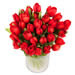 tulipes rouges produites en france livraison 24h