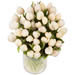 tulipes blanches livraison transporteur 24h