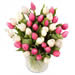 tulipes roses et blanches produites en France
