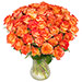 Bouquet de roses orange livré à domicile par transporteur du lundi au samedi avec Téléfleurs | Bouquet de roses orange extra fraîches en direct du producteur