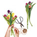 Bouquet surprise 30 tulipes au coloris varié livré à domicile par transporteur du lundi au samedi