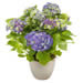 Hortensia chic bleu violet livré à domicile par un fleuriste partout en France | Envoyer un hortensia avec Telefleurs