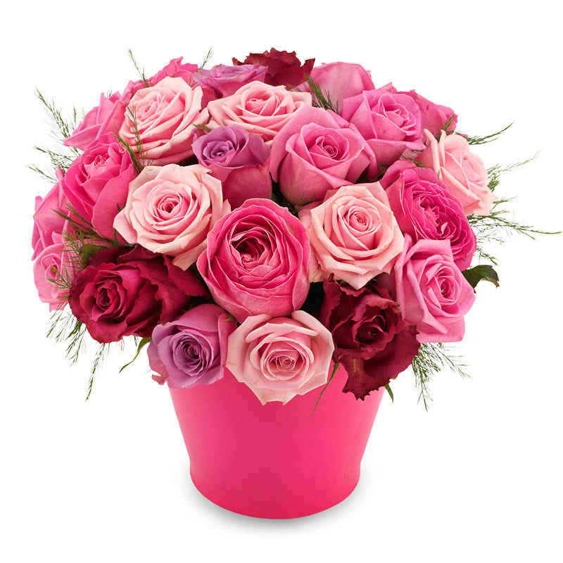 Rose arrangement in pink pot delivered by florist