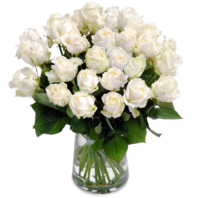 Bouquet de Merveilleuses roses blanches |Téléfleurs