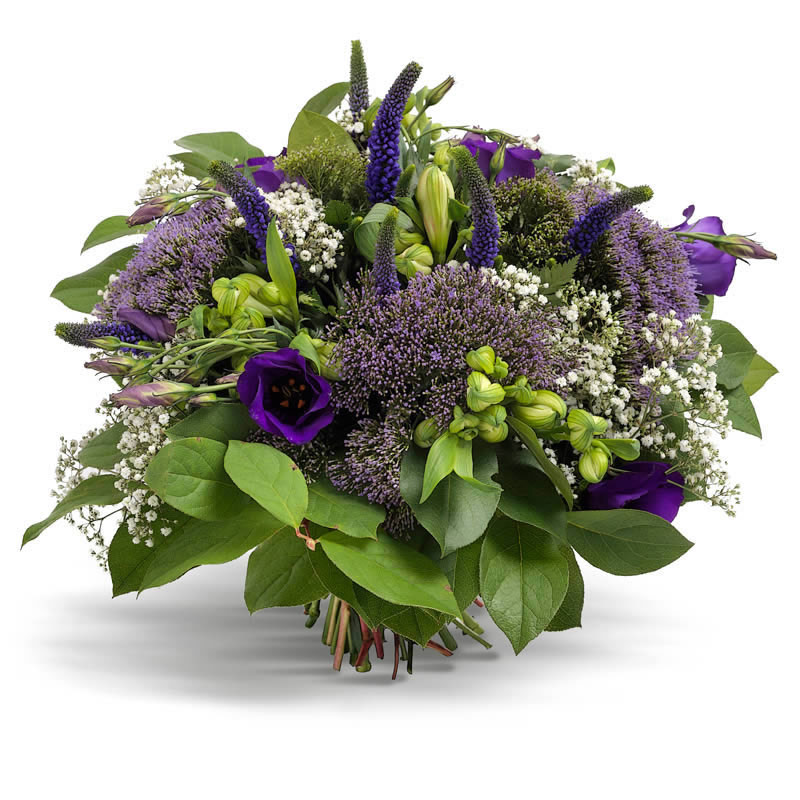 Violette Blumen online versenden