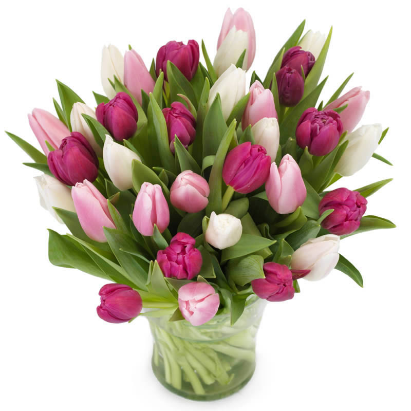 Bouquet de tulipes, coloris mélangé blanc, rose et fushia.