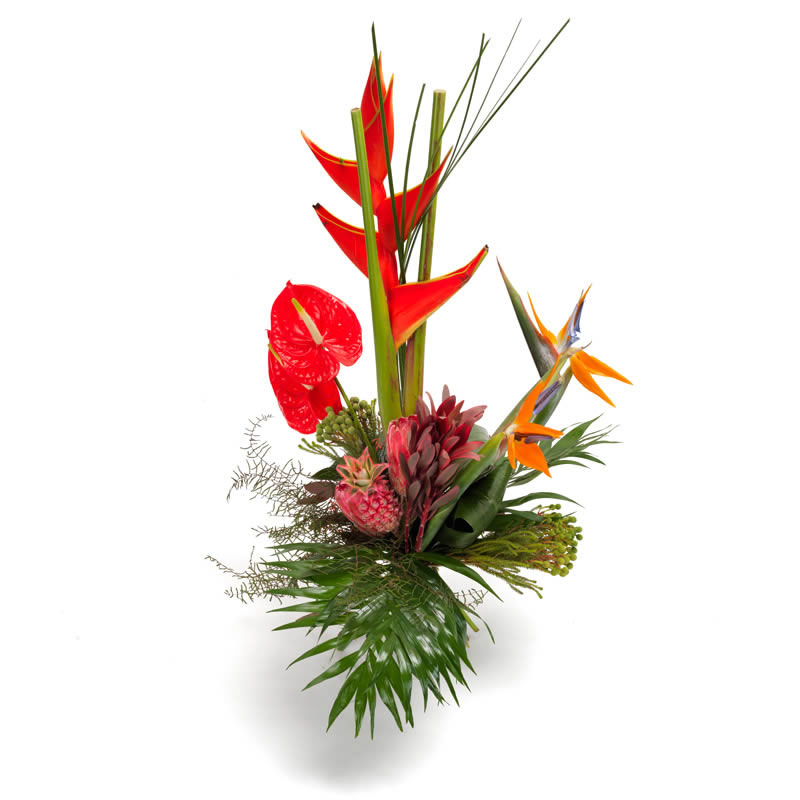 Bouquet de fleurs exotiques Bora Bora |Telefleurs
