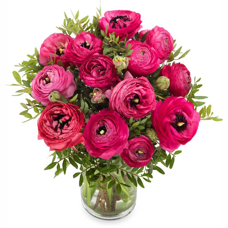 bouquet serré avec des renoncules roses