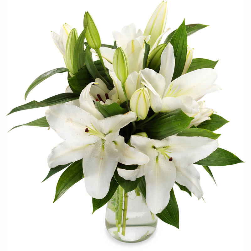 Bouquet de lys blancs parfumés