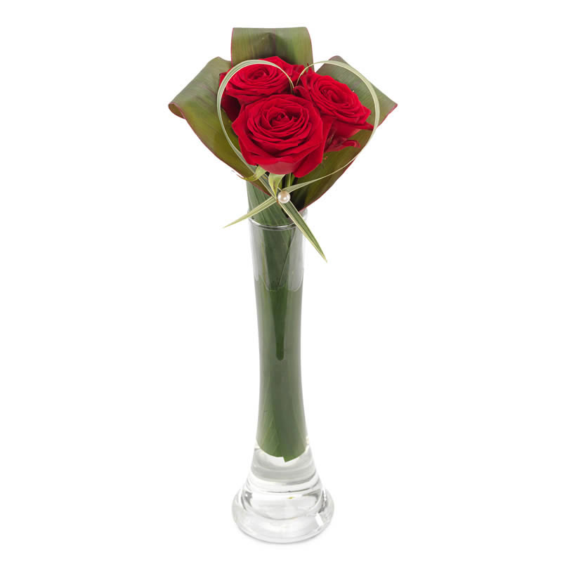 Tot ziens richting Nationale volkstelling Bloemen bezorgen Valentijnsdag - Rode rozen in een vaas