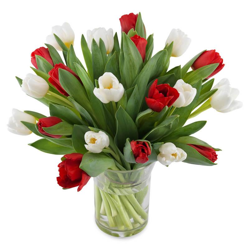 Bouquet with white and red tulips | Love Valentine's