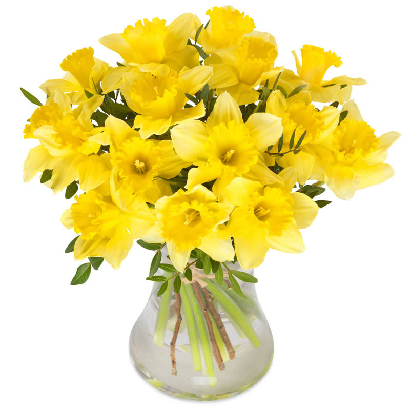 Bouquet de jonquilles | Fleurs printemps | Euroflorist