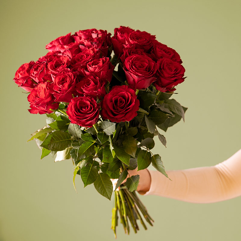 houding waarom niet tussen Klassieke rode rozen