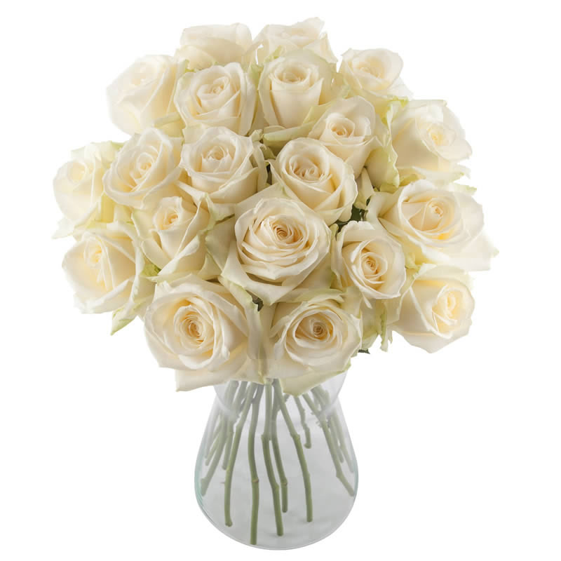 Bouquet of white roses Avalanche