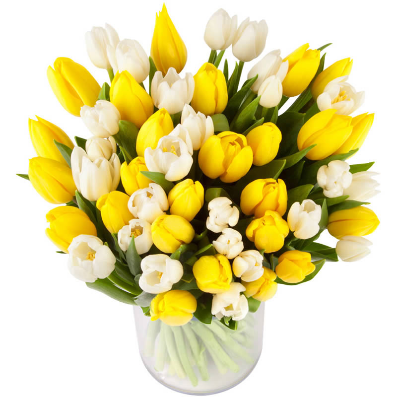 Bouquet de tulipes jaunes et blanches produites en France