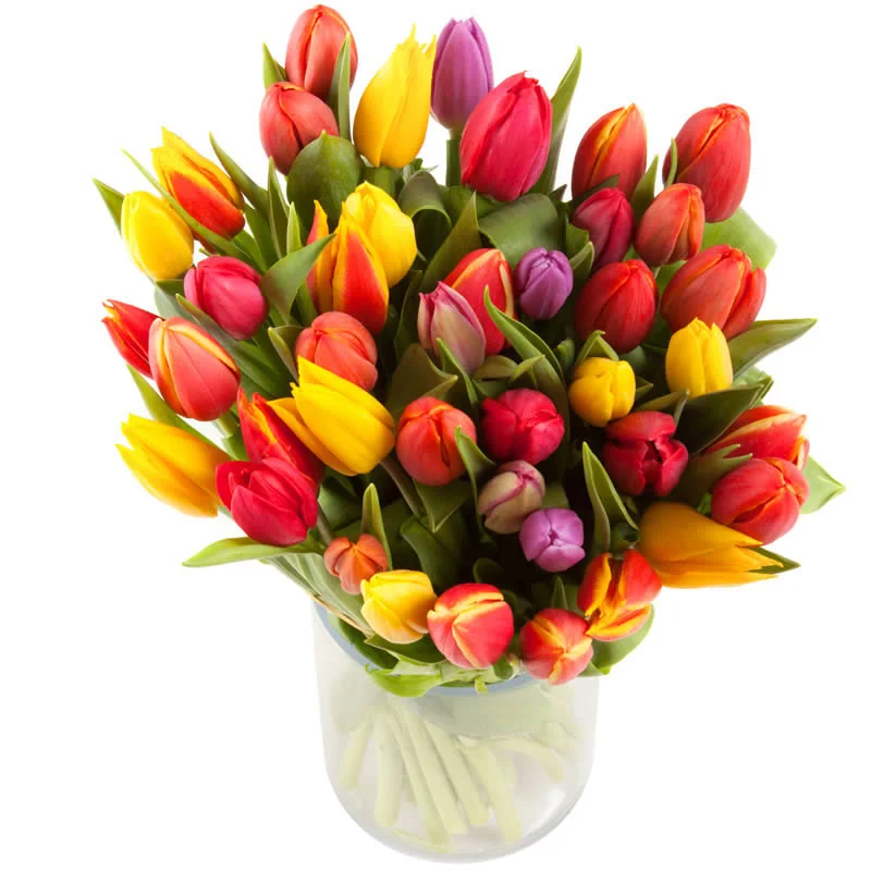 bouquet de tulipes Saint-Valentin