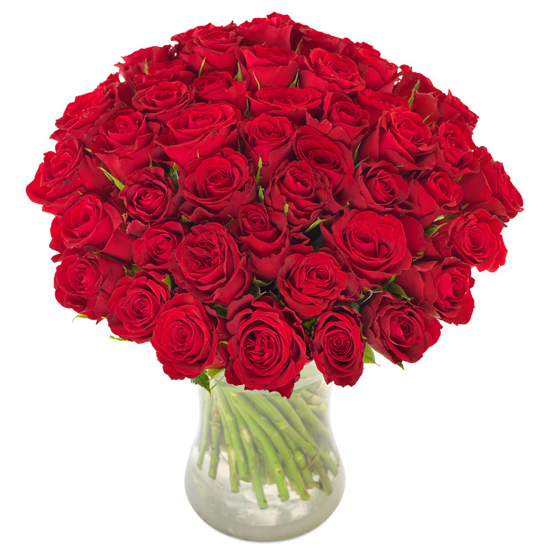 50 red roses to show your love