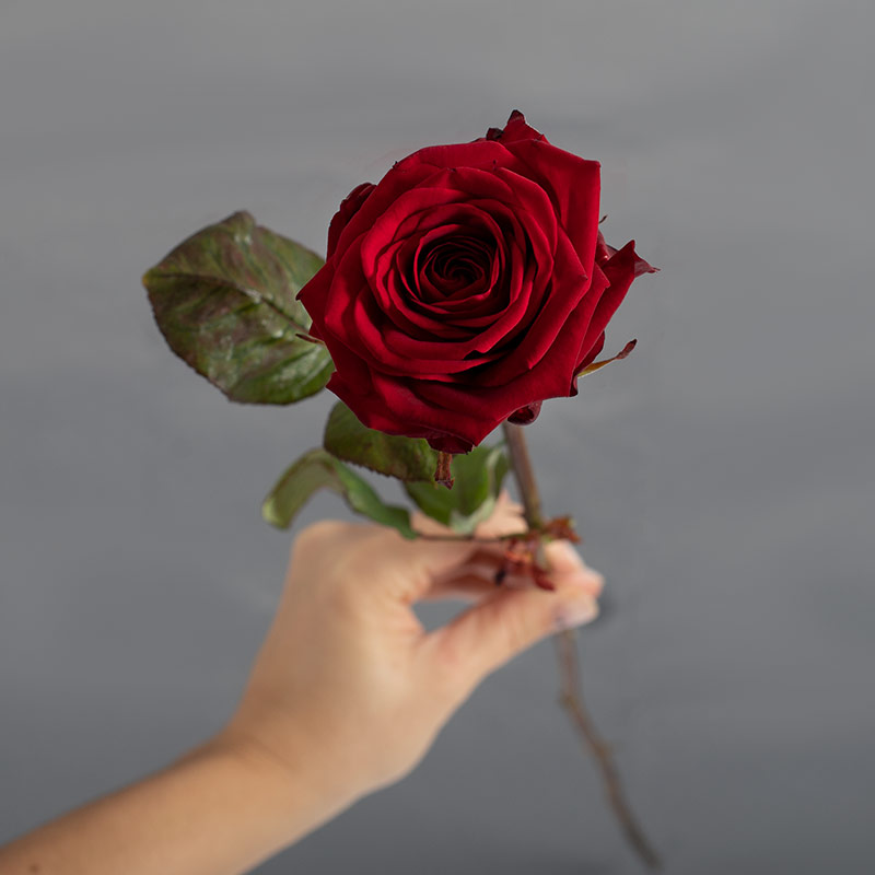 Déclaration d'Amour | Sublime rose rouge longue tige dans une boîte noire |  Euroflorist