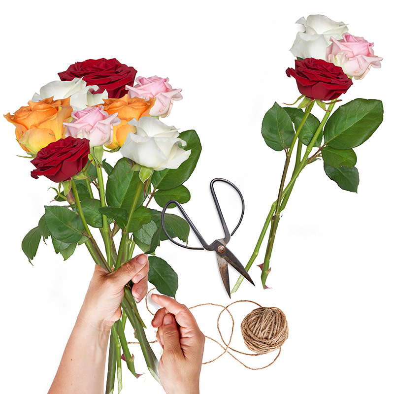 Bouquet de roses surprise | Livraison de roses à domicile