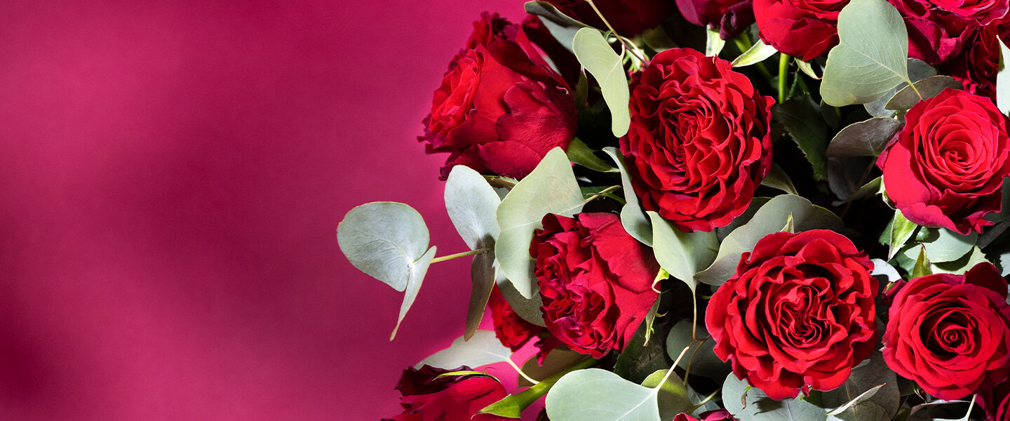 Verschicke Blumen zum Valentinstag mit Euroflorist